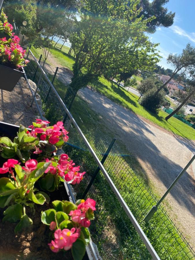 Mobile Home Biondina Camp Porton Biondi Rovinj Exterior foto